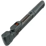 SKS Luftpumpe Injex Control Digi