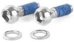AVID Schrauben M6 Titan Standard | 17 mm f&uuml;r Bremssattel