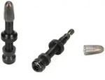 SCHWALBE Tubeless Ventil Set 2 Stk. 100 mm