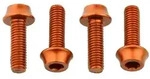 WOLF TOOTH Schrauben Set M5 x 15 mm Flaschenhalterschrauben | farbig o