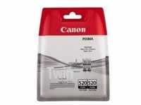 Canon PGI-520 BK Tinten Patronen 2er-Pack (2932B009)