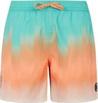 Protest 71751035-607-XS, Protest Bowery Swimming Shorts Mehrfarbig XS Mann...
