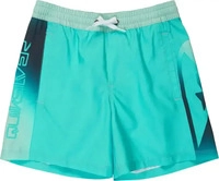 Quiksilver EQBJV03538-BJK6-S/10, Quiksilver Everyday Holmes Volley 16'' Swimming