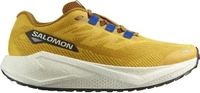 Salomon L47974200-9.5, Salomon Aero Blaze 3 Grvl Running Shoes Gelb EU 44 Mann Spicy