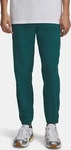 Under Armour 1386557-338-LG, Under Armour Vibe Woven Joggers Gr&uuml;n L Mann Green