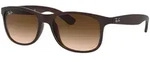 Ray-Ban ANDY RB 4202 607313 - Sonnenbrille - Matte Braun 55/17