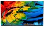 Philips - 65hfl6214u/12 Tv 165,1 Cm (65') 4k Ultra Hd Wifi Anthrazit 400 Cd / Qm