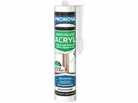 Anschluss-Acryl transparent 300 ml - Pronova