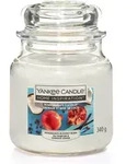 Yankee Candle - Duftkerze Mittleres Glas Pomegranate Coconut 340 G Duft Kerze
