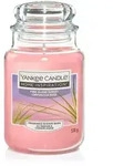 Marco Paul - Yankee Candle Duftkerze Gro&szlig;es Glas Pink Island Sunset 538 G Rosa Kerze
