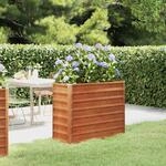 Hochbeet Rostig 100x40x77 Cm Cortenstahl Vidaxl