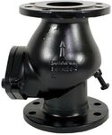 Jung Pumpen - Jung R&uuml;ckschlagklappe Dn 80 F&uuml;r Kleinhebeanlage R 80