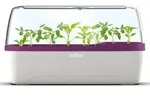Boqube L Plus Gew&auml;chshaus & Pflanzkasten-system 41x17x23cm Mit Bel&uuml;ftung