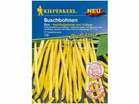 Kiepenkerl - Buschbohnen Dior - Gemüsesamen