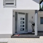 Haust&uuml;r Wei&szlig; 110x210 Cm Aluminium Und Pvc Vidaxl