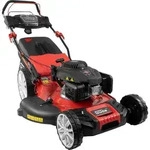Rasenm&auml;her Big Wheeler 554.3 R