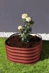 Vitavia - Hochbeet 'terra 401', Rubin, 40 Cm, Modell 'rund'