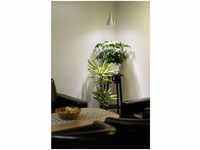 Parus by Venso Growlight Indoor plants LED E27 Pflanzenlampe, Vollspektrum, 6W