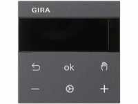 Gira - rtr bt System 539428