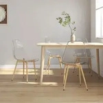 Esszimmerst&uuml;hle 4 Stk. Transparent Pet - Vidaxl