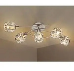Led Deckenleuchte 5-flammig Mit Glaskristallen Silber Matt, Breite 61,5cm