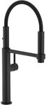 Franke K&uuml;chenarmatur Pescara 360&deg; Flexauslauf, 2 Strahlarten Black Matt 