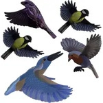 Gardigo - Vogelsilhouette Heimische V&ouml;gel Bunt 5 Teilig