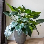 Vase Groove Elegant 34x46 Cm Anthrazit Capi