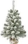 Schneebedeckter Weihnachtsbaum F&uuml;r Den Innenbereich &ndash; 60 Cm