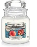 Duftkerze Kleines Glas Pomegranate Coconut 104 G, - Yankee Candle