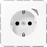 Jung Schuko Steckdose 16 A 250v Bt Cd 1521 S Ww