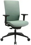 B&uuml;rodrehstuhl Synchr.-m.mintgr&uuml;n 450-570mm M.lehnen Trgf.110kg