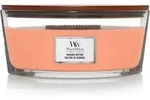 Woodwick Ellipse Manuka Nectar Duftkerze Transparent 11,2 Cm