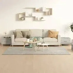 Vidaxl Coffee Tables 2 Pcs Grey Sonoma 50x50x40 Cm Engineered Wood