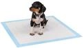 Welpenunterlage Hygieneunterlage F&uuml;r Hunde 6-lagig, 60x60cm, 100stk. - Lionto