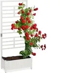Relaxdays Pflanzkasten Mit Spalierwand, Hbt 171 X 71,5 X 32cm, Sichtschutz Mit