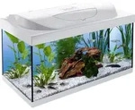 Tetra Aquarium Starter Line Led 54 L Wei&szlig; Aquarium