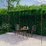Garten-pergola Antik-braun 6x3x2,5 M Eisen - Vidaxl