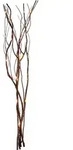 Star Trading Zweig Mit Led Lichterkette Willow Dewdrop Von Star Trading,...