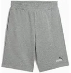 Puma Ess 2 Color No.1 Logo 10" Tr Herrenshorts Grau 68471503 R Xl