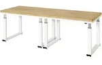 Werkbank Elektrisch H&ouml;henverstellbar, B2500xt900xh740-1140mm, B-platte-40 Mm -...