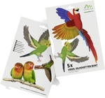 Gardigo Stickers Native Birds Fensteraufkleber Vogelbild Funktionsart...