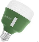 Ampoule Osram Grow Light 20w 650 Lm