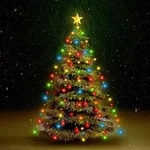 Weihnachtsbaum-lichternetz Mit 150 Leds Mehrfarbig 150 Cm Vidaxl