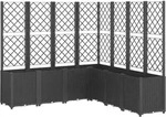 Pflanzk&uuml;bel Mit Rankgitter Schwarz 160x160x140 Cm Pp Vidaxl