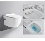 Sp&uuml;lrandloses Taharet Dusch Wc Inkl. Armatur Und Soft-close Sitz
