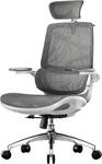 Sihoo M59as Ergonomischer B&uuml;rostuhl, Schreibtischstuhl Mit 3d-koordinierten