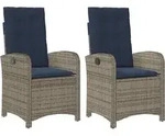 Vidaxl Reclining Garden Chairs 2 Pcs With Cushions Grey Poly Rattan