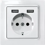 Eltako Schutzkontakt-steckdose Dss55e+2xusba-wg