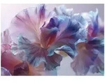 Moderne Fototapete Blumen Abstrakt &ndash; Gro&szlig;format Wandtapete 300x210 Cm &ndash; Design